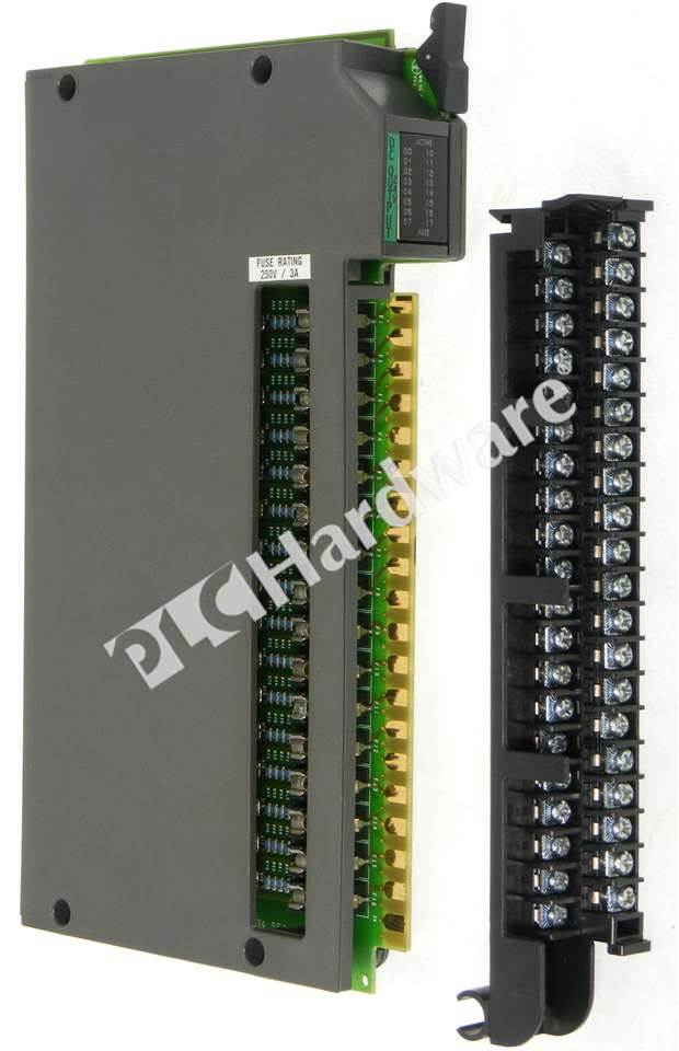 Show large image 1771-OQ16K