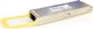 CPAK-100G-SR10 6
